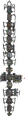 Thumbnail for version as of 06:55, 22 February 2025